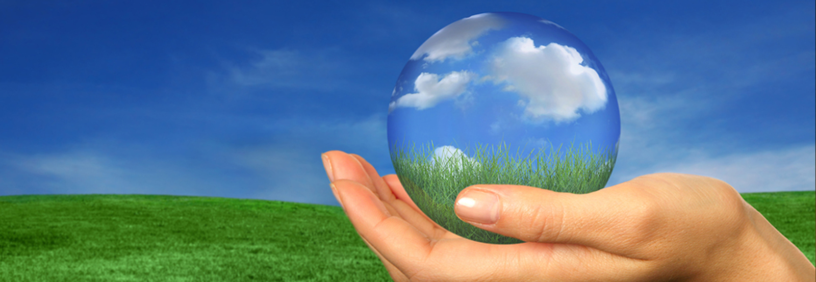 Mean Green Clean- Eco Friendly Cleaning Service